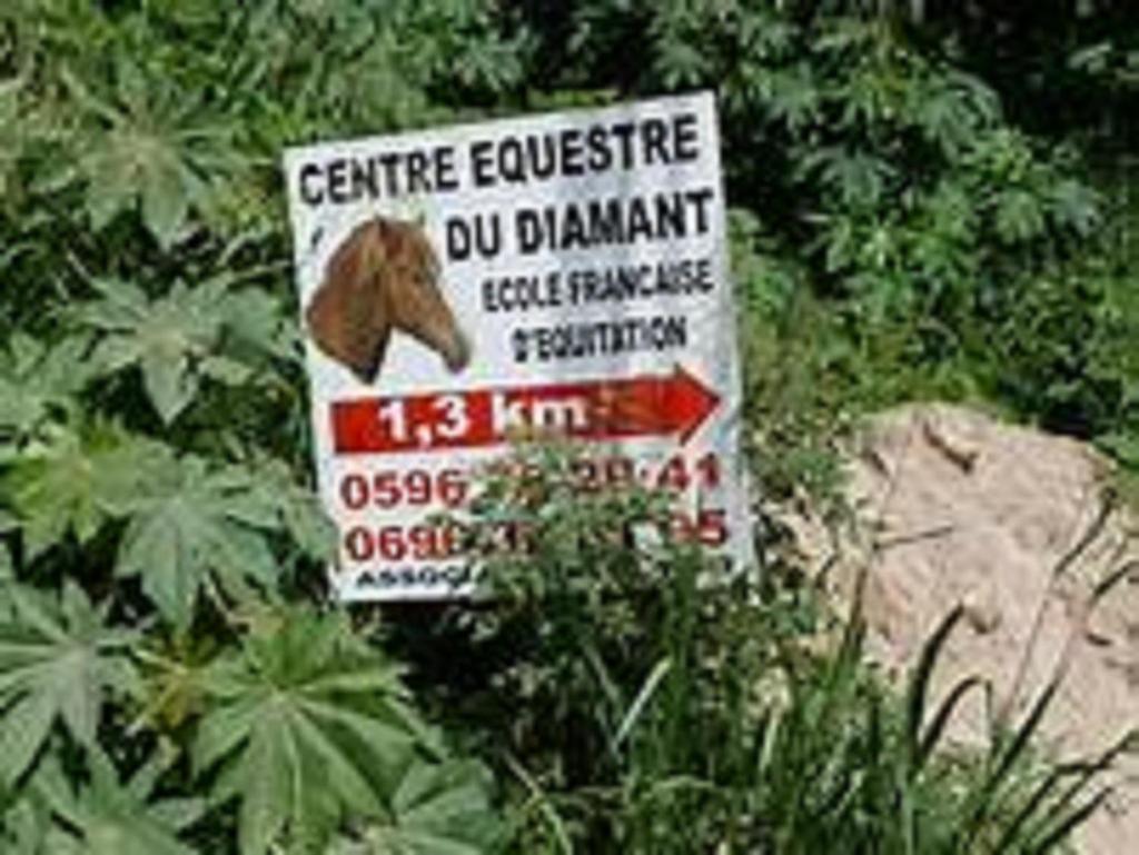 Appartement Rosbambou Les Pieds Dans L Eau Le Diamant Exterior foto